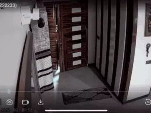 सोनीपत में सेफ्टी लॉक तोड़कर चोरों ने की चोरी: महिला दिल्ली में थी, सीसीटीवी में कैद हुई वारदात